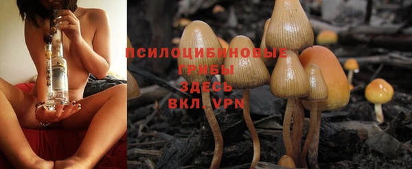 эйфоретик Алзамай