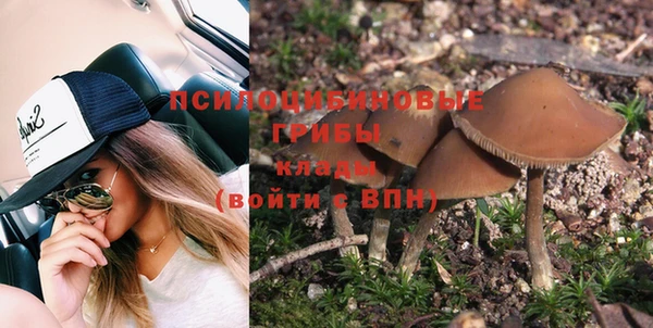 эйфоретик Алзамай
