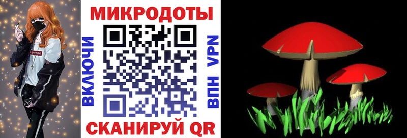 Галлюциногенные грибы Magic Shrooms  Кольчугино 