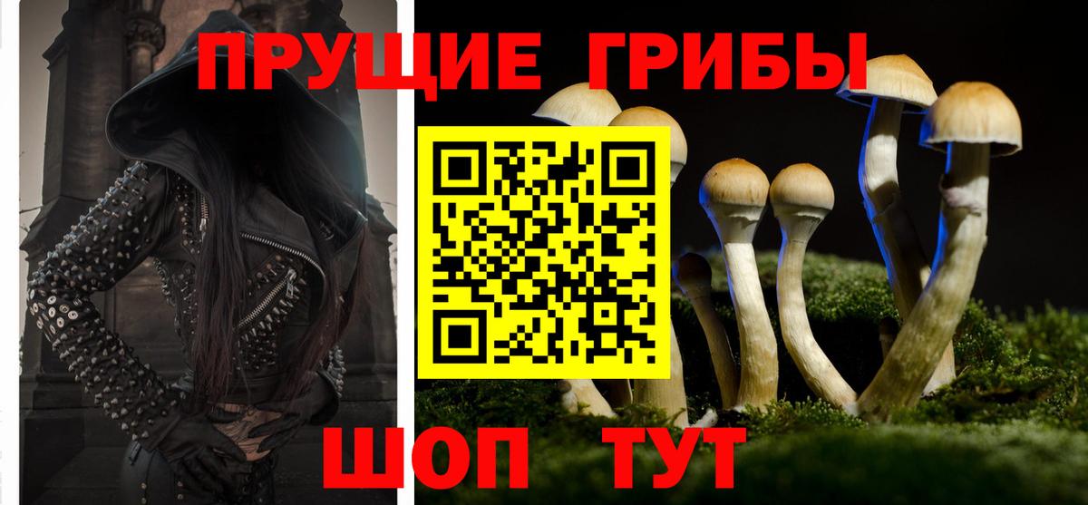 Галлюциногенные грибы Magic Shrooms Кольчугино